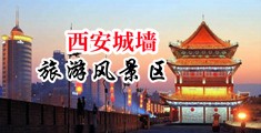 啊啊啊啊啊啊啊啊好爽视频网站中国陕西-西安城墙旅游风景区